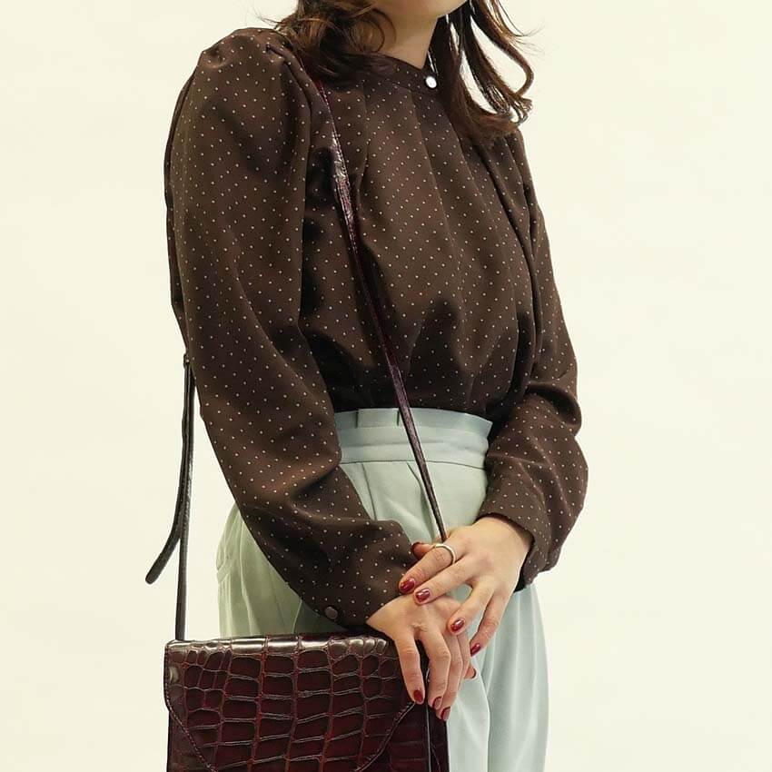 ドットスタンドカラーブラウス